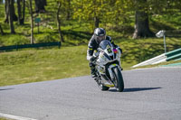 cadwell-no-limits-trackday;cadwell-park;cadwell-park-photographs;cadwell-trackday-photographs;enduro-digital-images;event-digital-images;eventdigitalimages;no-limits-trackdays;peter-wileman-photography;racing-digital-images;trackday-digital-images;trackday-photos